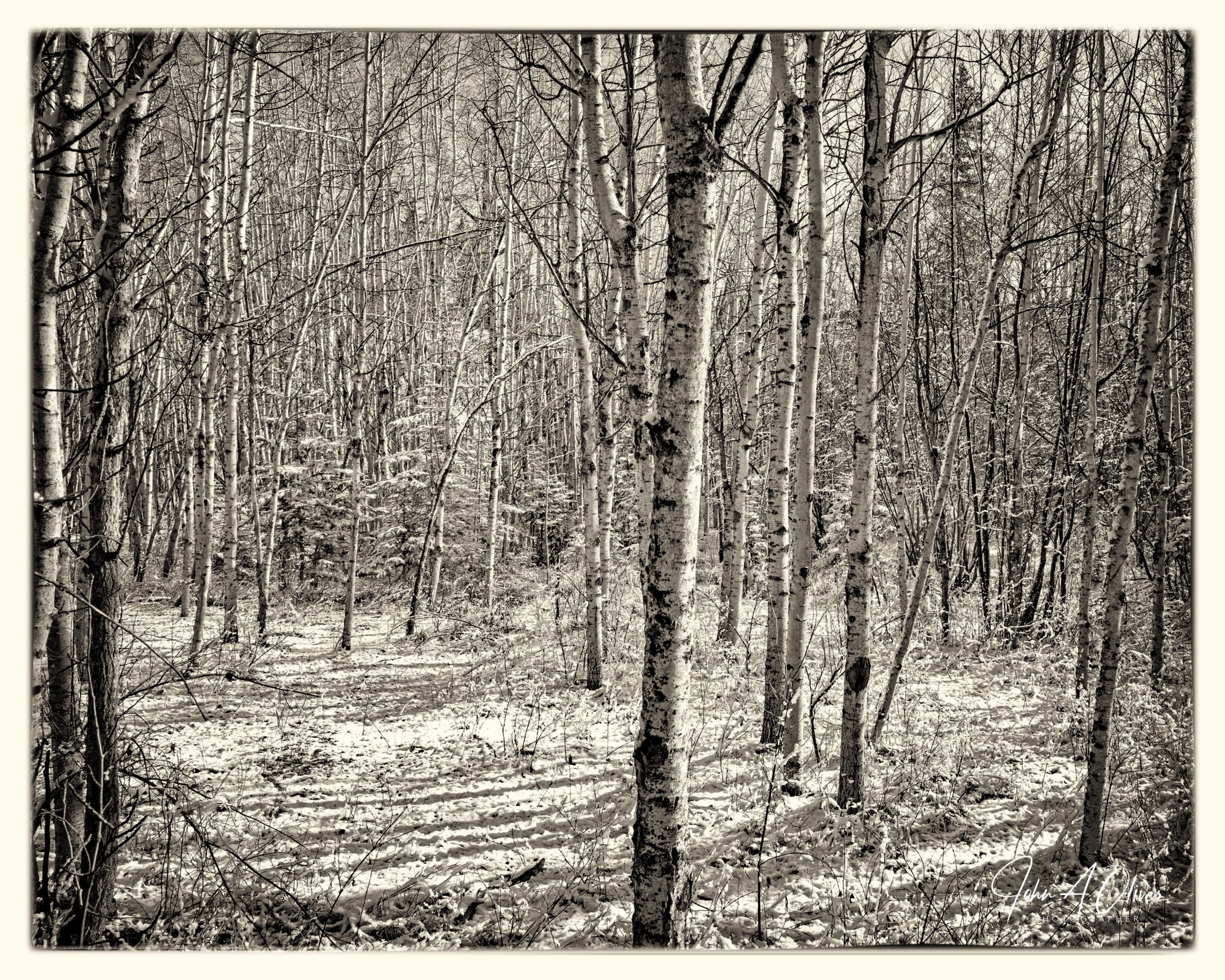 FCP-13-April-25-08-1
